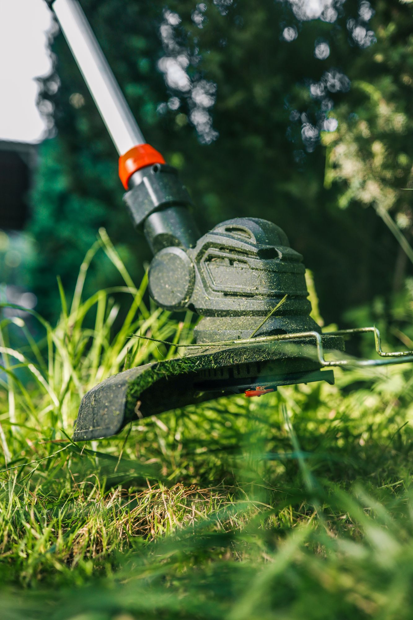 Entretien jardin près d'Aubière