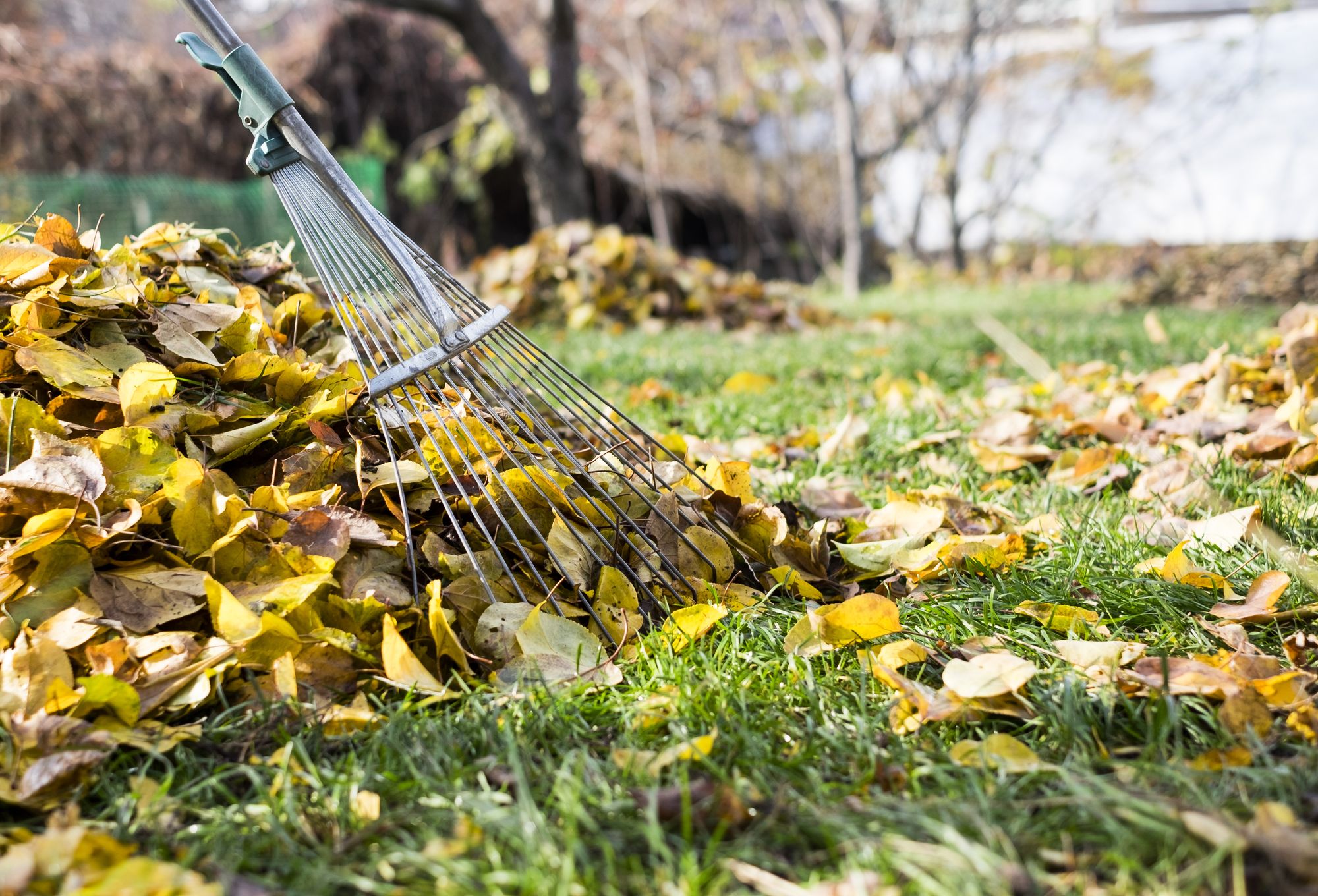 Entretien de jardin près de Clermont-Ferrand